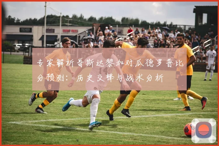 专家解析哥斯达黎加对瓜德罗普比分预测：历史交锋与战术分析