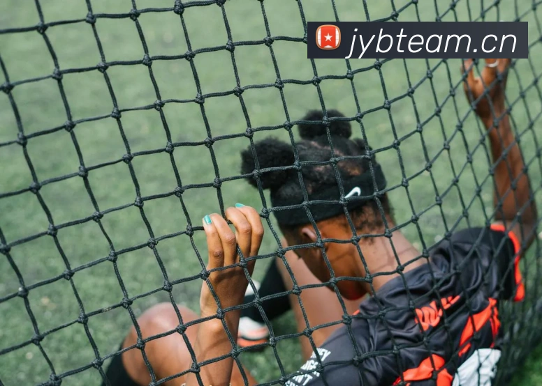 米兰app官网入口平台生态图